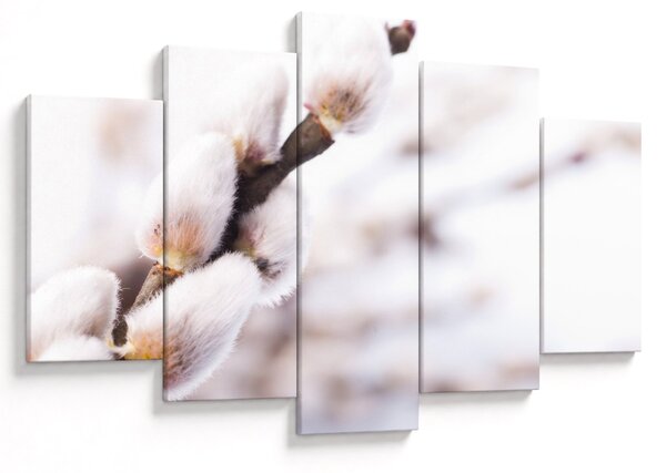 Slika - Grana s macicama vrbe ive (150x105 cm)