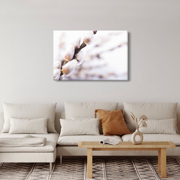 Slika - Grana s macicama vrbe ive (90x60 cm)