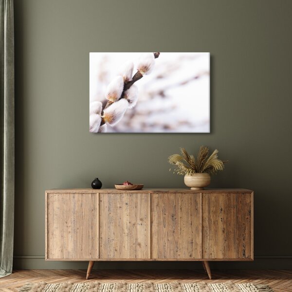 Slika - Grana s macicama vrbe ive (90x60 cm)
