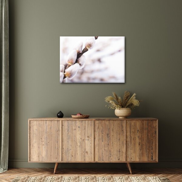 Slika - Grana s macicama vrbe ive (70x50 cm)