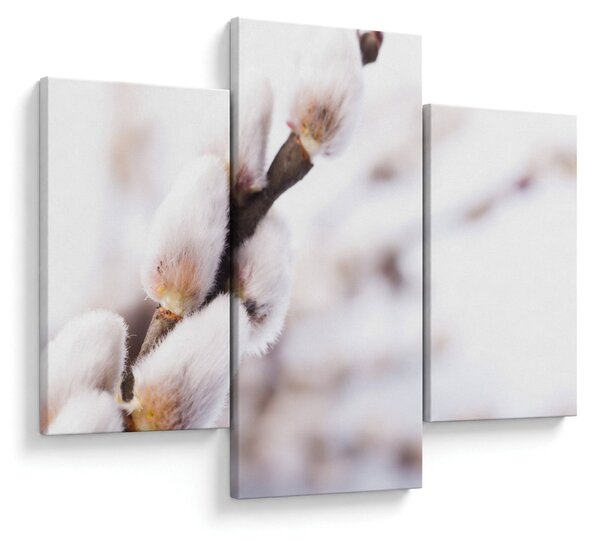 Slika - Grana s macicama vrbe ive (90x60 cm)