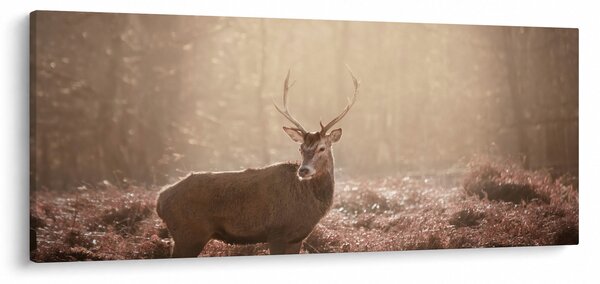 Slika - Jelen u šumi (120x50 cm)