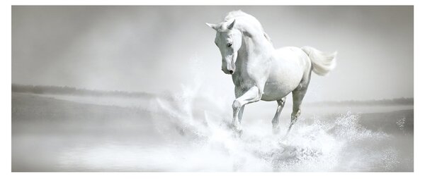 Slika - Bijeli konj (120x50 cm)