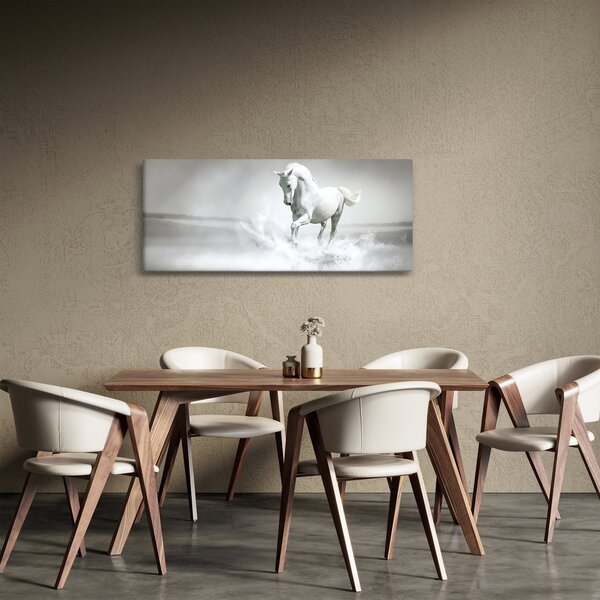Slika - Bijeli konj (120x50 cm)