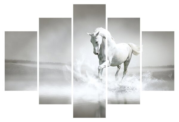 Slika - Bijeli konj (150x105 cm)