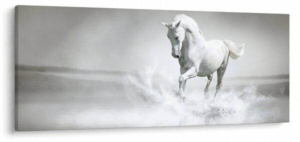 Slika - Bijeli konj (120x50 cm)