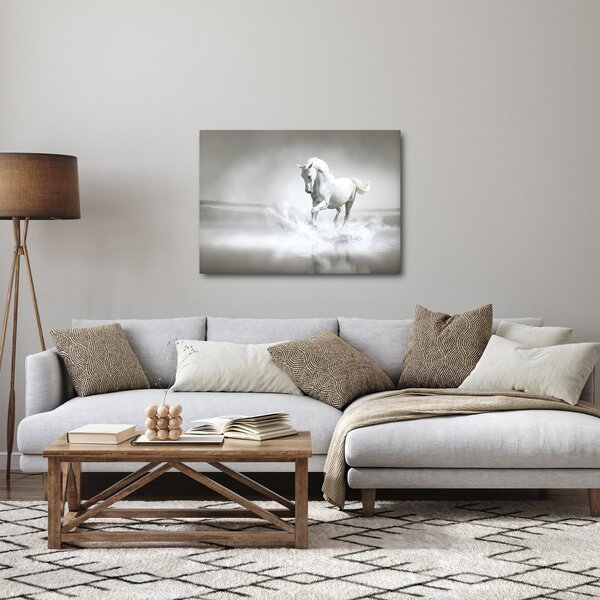 Slika - Bijeli konj (70x50 cm)