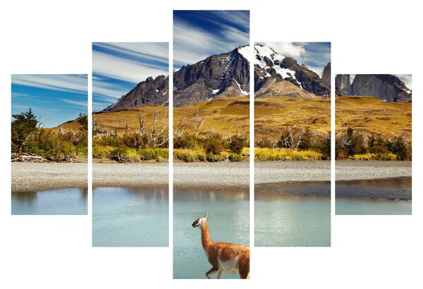 Slika - Nacionalni park Torres del Paine (150x105 cm)