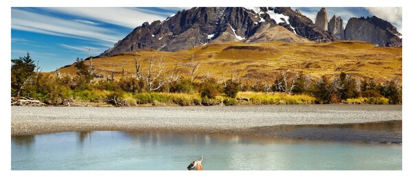 Slika - Nacionalni park Torres del Paine (120x50 cm)