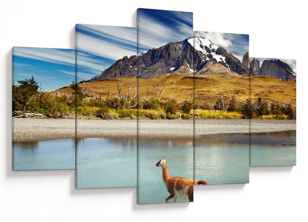 Slika - Nacionalni park Torres del Paine (150x105 cm)
