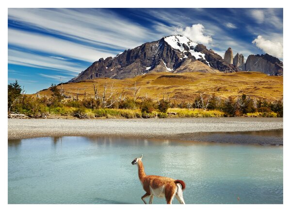 Slika - Nacionalni park Torres del Paine (70x50 cm)