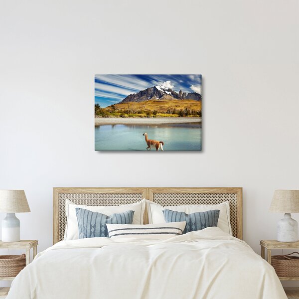 Slika - Nacionalni park Torres del Paine (70x50 cm)