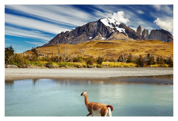 Slika - Nacionalni park Torres del Paine (90x60 cm)