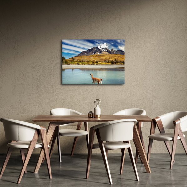 Slika - Nacionalni park Torres del Paine (70x50 cm)