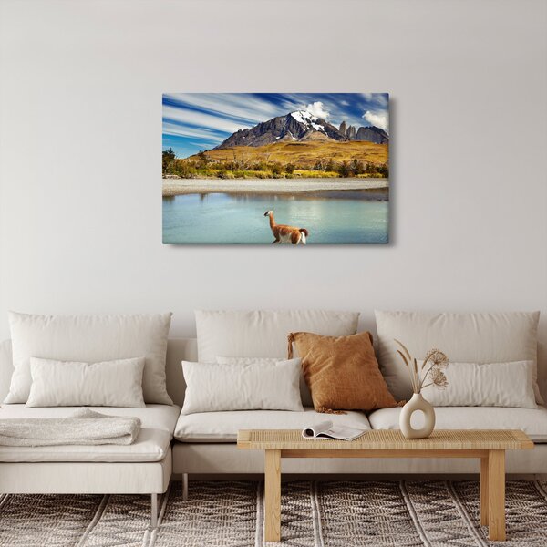 Slika - Nacionalni park Torres del Paine (90x60 cm)