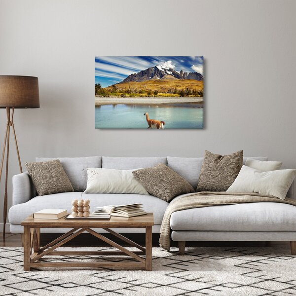 Slika - Nacionalni park Torres del Paine (90x60 cm)