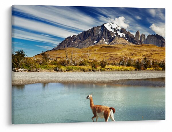 Slika - Nacionalni park Torres del Paine (70x50 cm)
