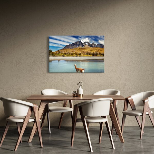 Slika - Nacionalni park Torres del Paine (90x60 cm)