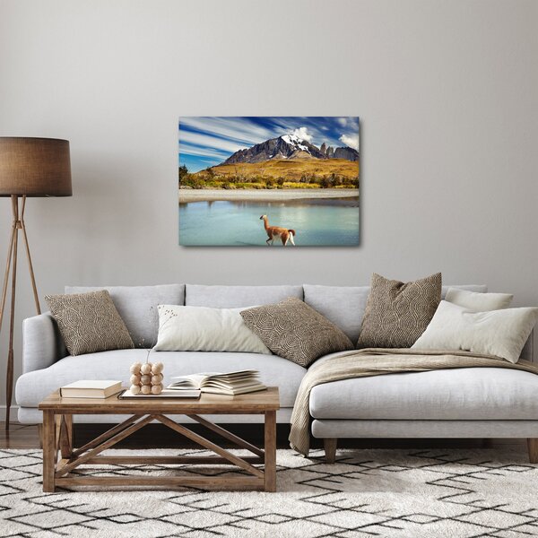 Slika - Nacionalni park Torres del Paine (70x50 cm)
