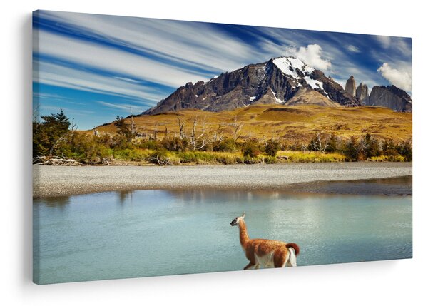 Slika - Nacionalni park Torres del Paine (90x60 cm)