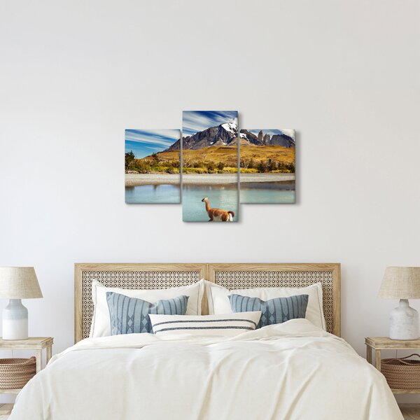 Slika - Nacionalni park Torres del Paine (90x60 cm)