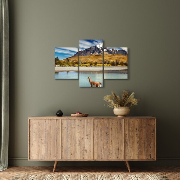 Slika - Nacionalni park Torres del Paine (90x60 cm)