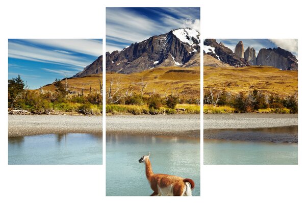Slika - Nacionalni park Torres del Paine (90x60 cm)