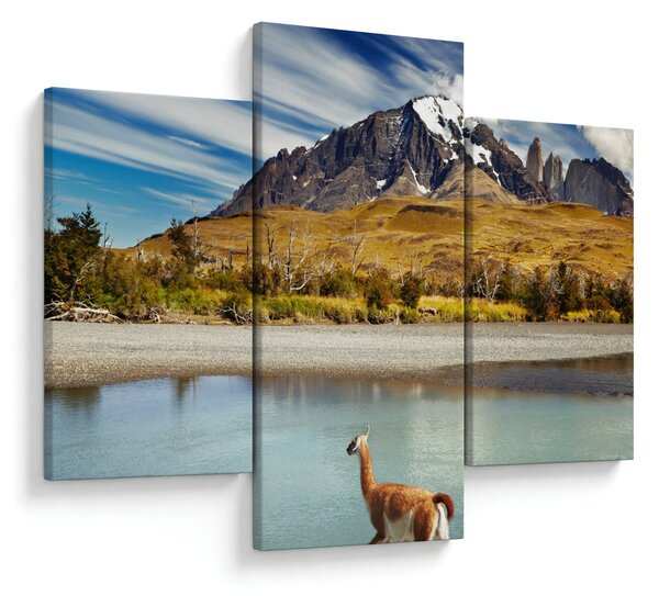 Slika - Nacionalni park Torres del Paine (90x60 cm)
