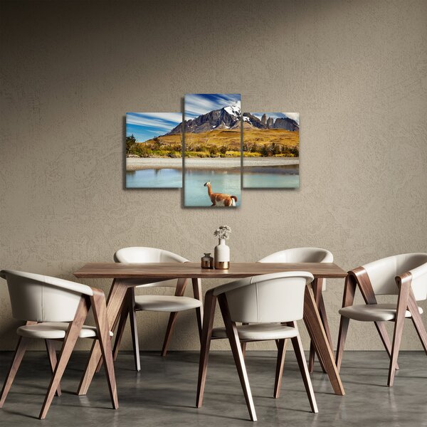 Slika - Nacionalni park Torres del Paine (90x60 cm)