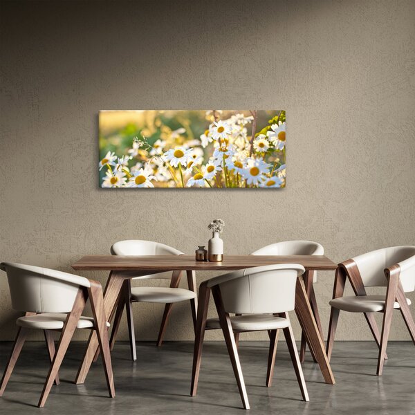 Slika - Tratinčice (120x50 cm)