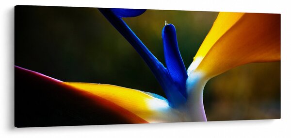 Slika - Egzotični cvijet (120x50 cm)