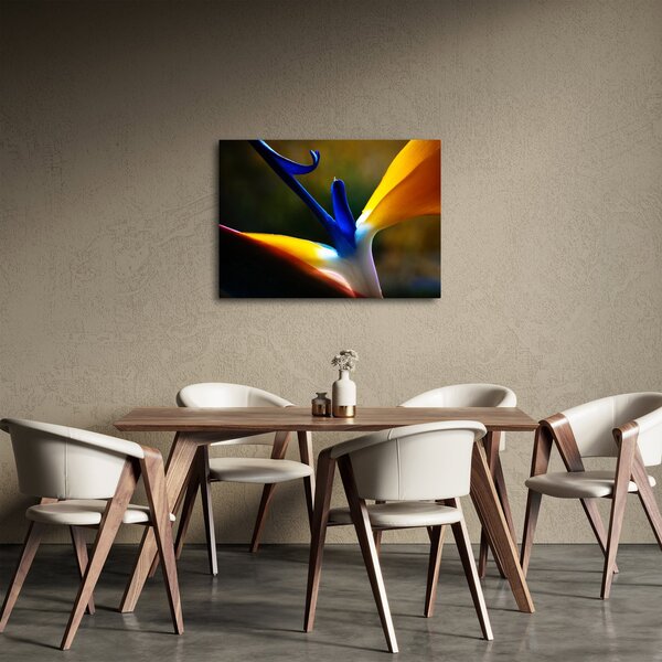 Slika - Egzotični cvijet (70x50 cm)