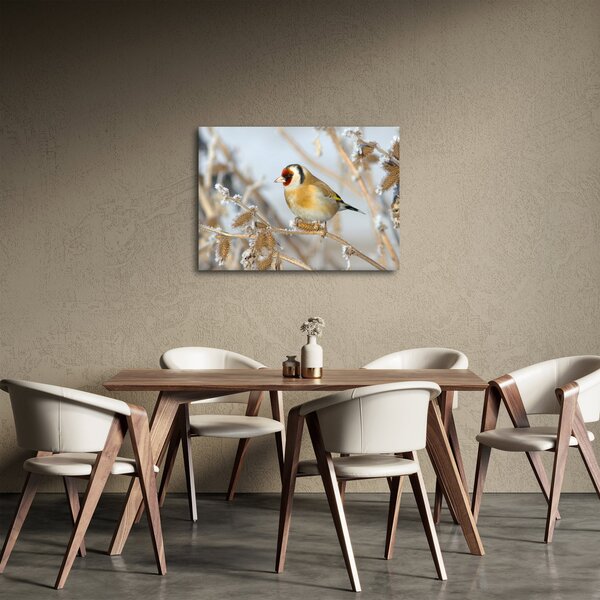 Slika - Češljugar (70x50 cm)