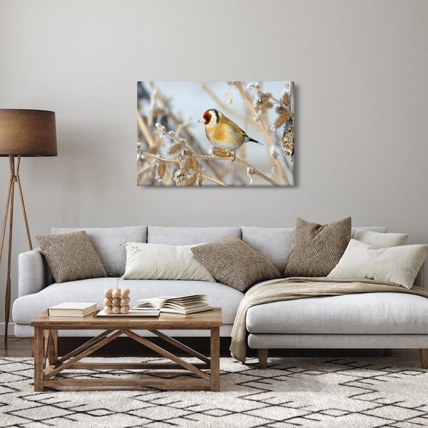 Slika - Češljugar (90x60 cm)