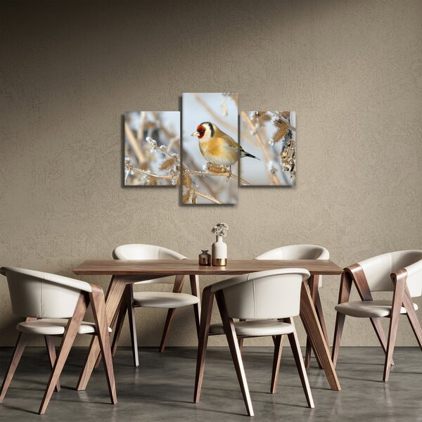 Slika - Češljugar (90x60 cm)