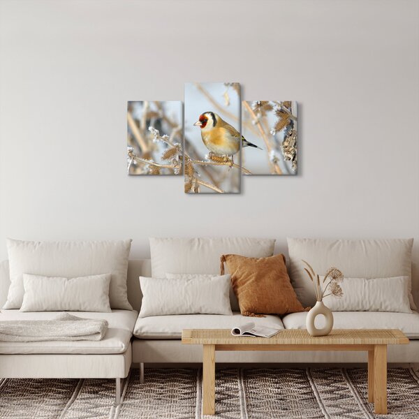 Slika - Češljugar (90x60 cm)