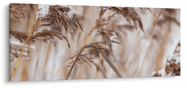 Slika - Lipnice (120x50 cm)