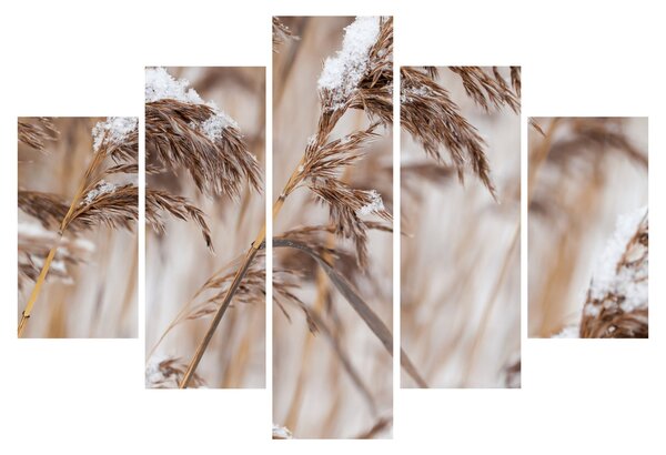 Slika - Lipnice (150x105 cm)