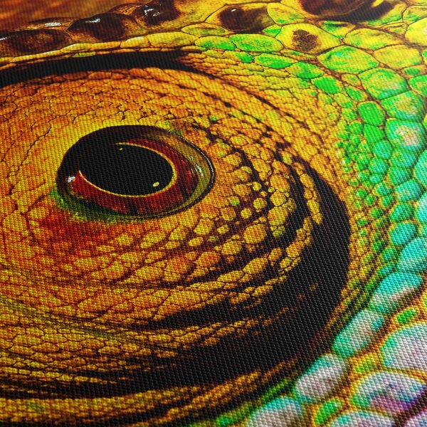 Slika - Kameleon (150x105 cm)