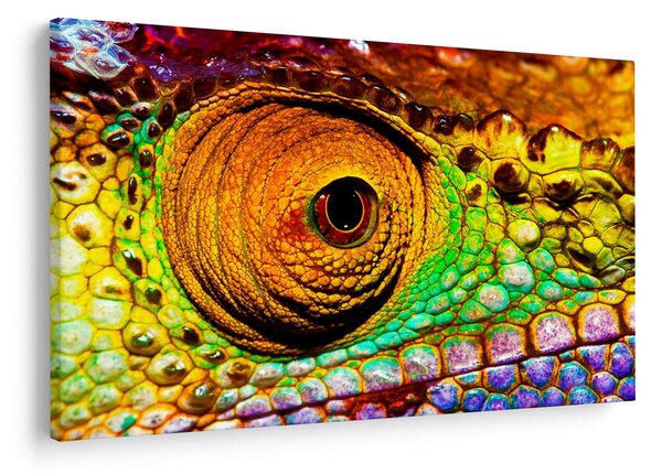 Slika - Kameleon (90x60 cm)