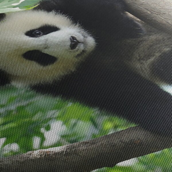 Slika - Panda na drvetu (150x105 cm)