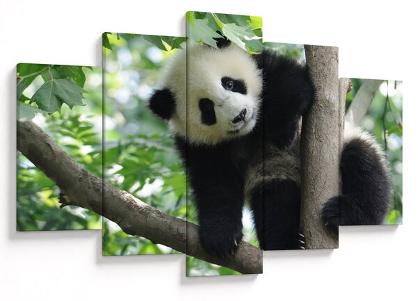 Slika - Panda na drvetu (150x105 cm)