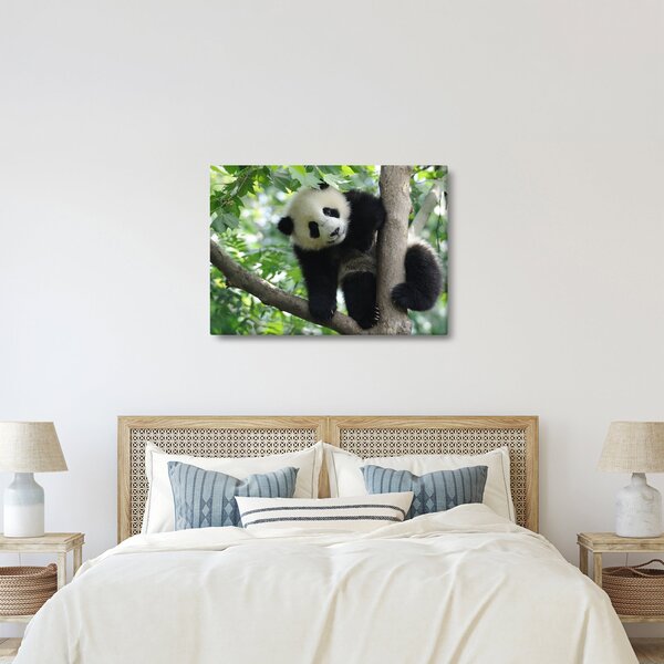 Slika - Panda na drvetu (70x50 cm)
