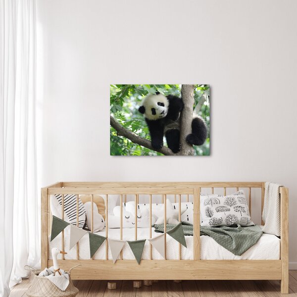 Slika - Panda na drvetu (70x50 cm)