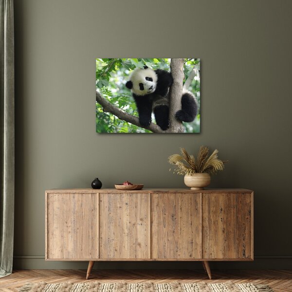 Slika - Panda na drvetu (70x50 cm)