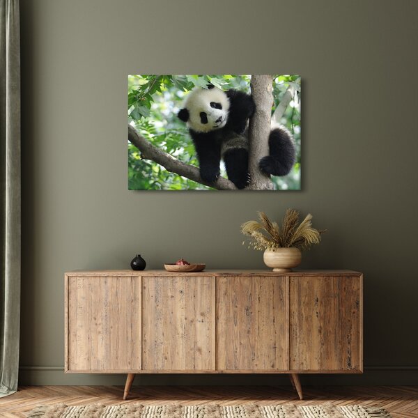 Slika - Panda na drvetu (90x60 cm)