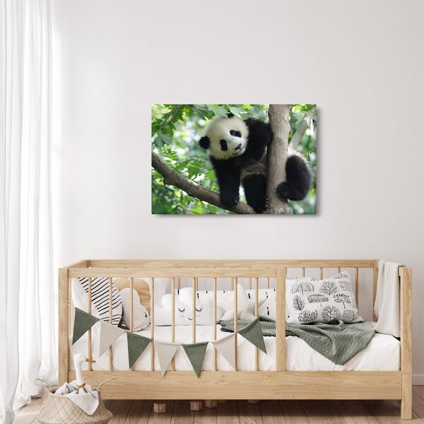 Slika - Panda na drvetu (90x60 cm)