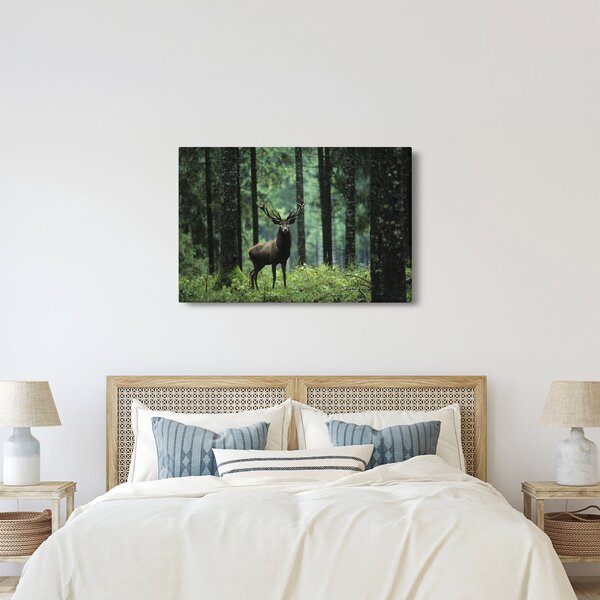 Slika - Jelen u dubokoj šumi (90x60 cm)