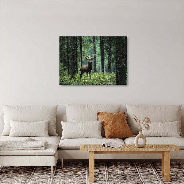 Slika - Jelen u dubokoj šumi (70x50 cm)