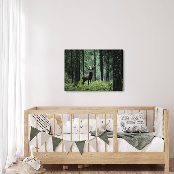 Slika - Jelen u dubokoj šumi (70x50 cm)